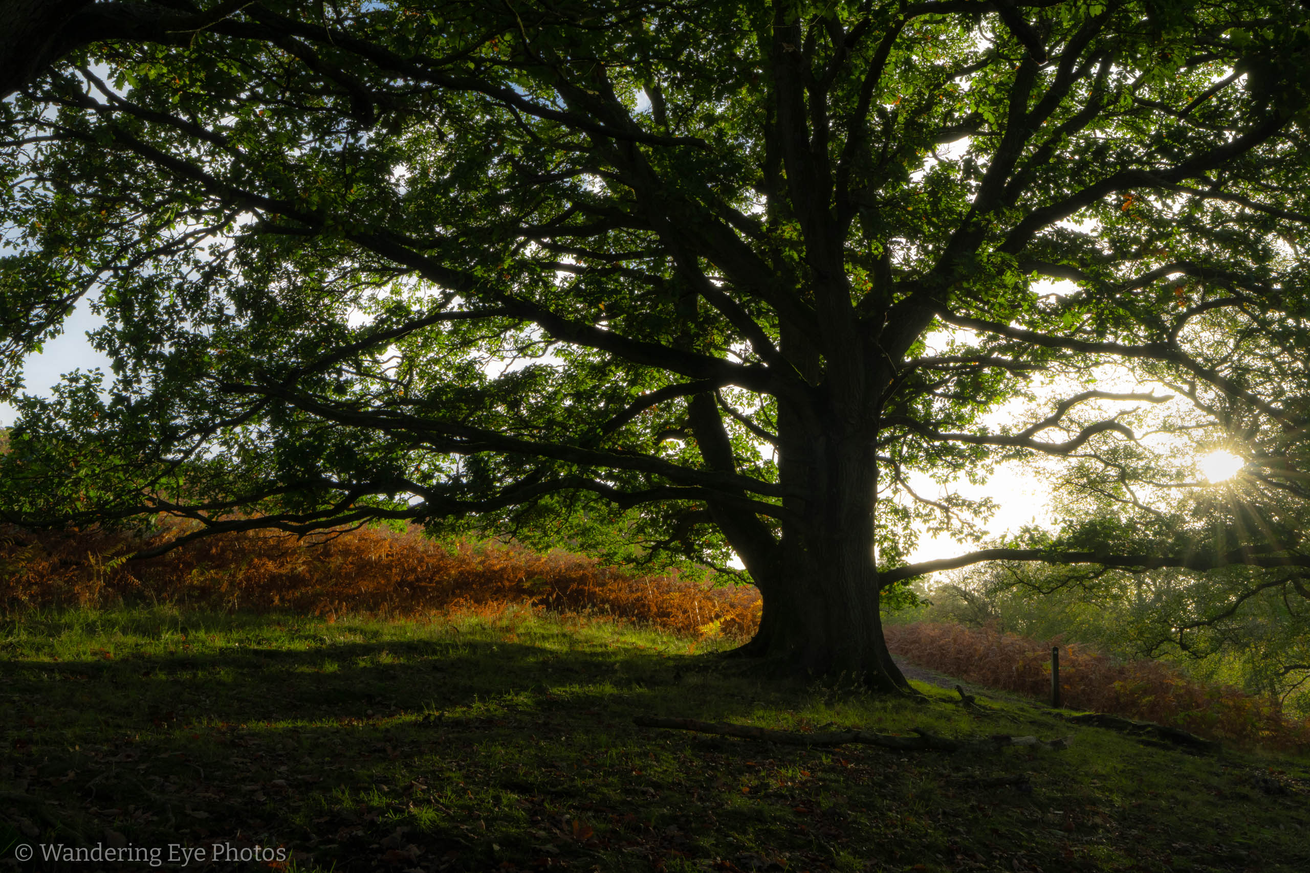 10.13 16.55.27   DSC08194